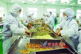 青濰對接 農(nóng)業(yè)合作引領(lǐng)農(nóng)產(chǎn)品生產(chǎn)新飛躍