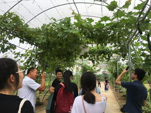 深化專業認知，筑牢安全基石——記四年制高職本科食品質量與安全專業農產品安全生產認知實習