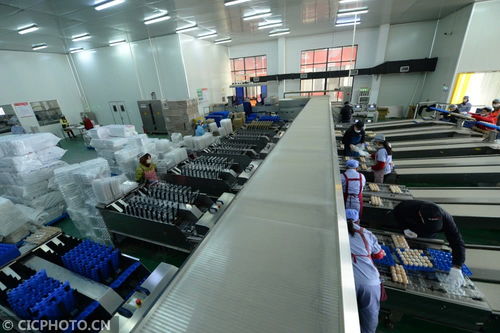 太倉農產品生產穩定，市場供應有保障