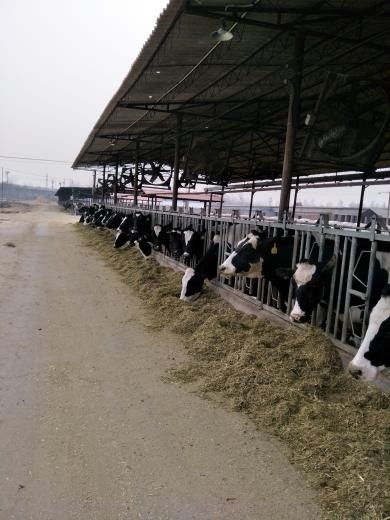 筑牢農產品安全基石 解讀四項生產質量控制新規